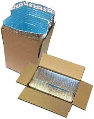 Frozen Thermal Box with Dry Ice